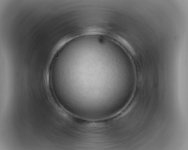 X0000116111419200911231136