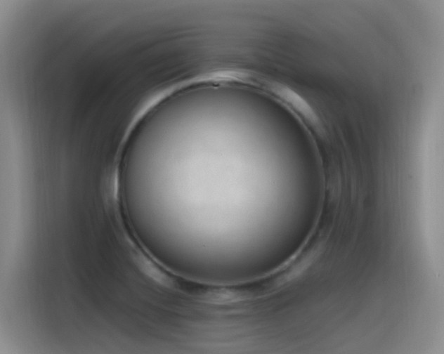 X0000116111420200911231136