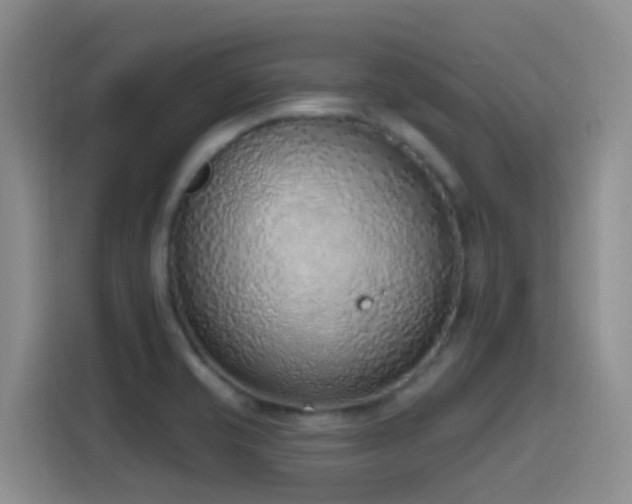 X0000116111421200911231136