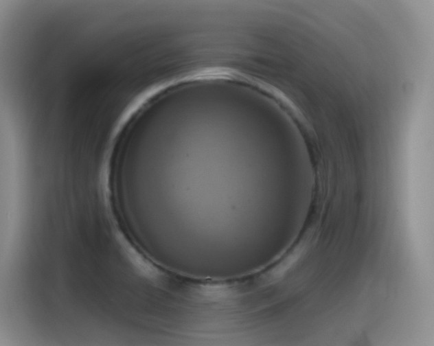 X0000116111422200911231136