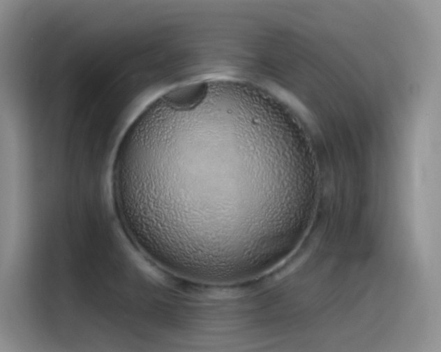 X0000116111423200911231136