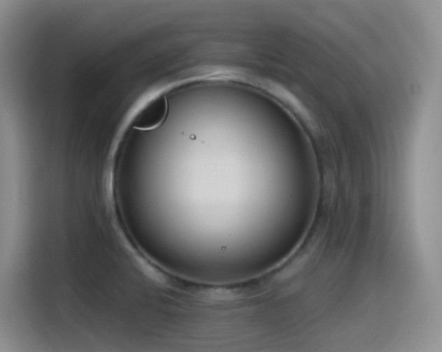 X0000116111424200911231136