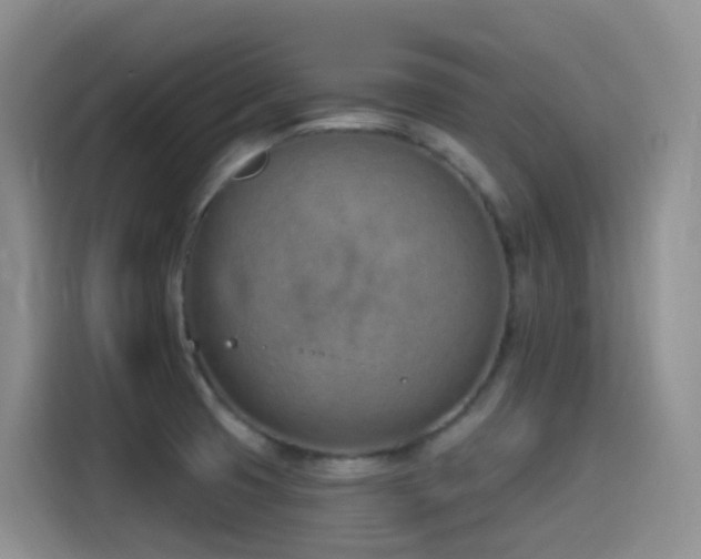 X0000116111425200911231136