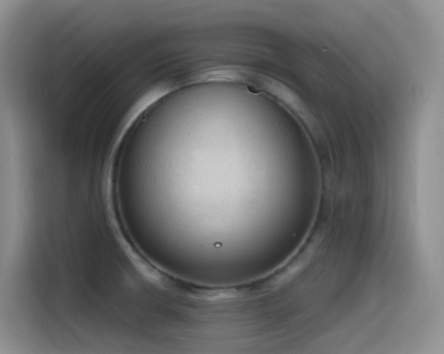 X0000116111426200911231136