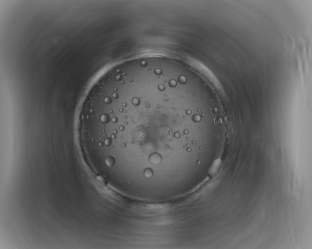 X0000116111427200911231136