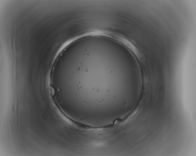 X0000116111428200911231136