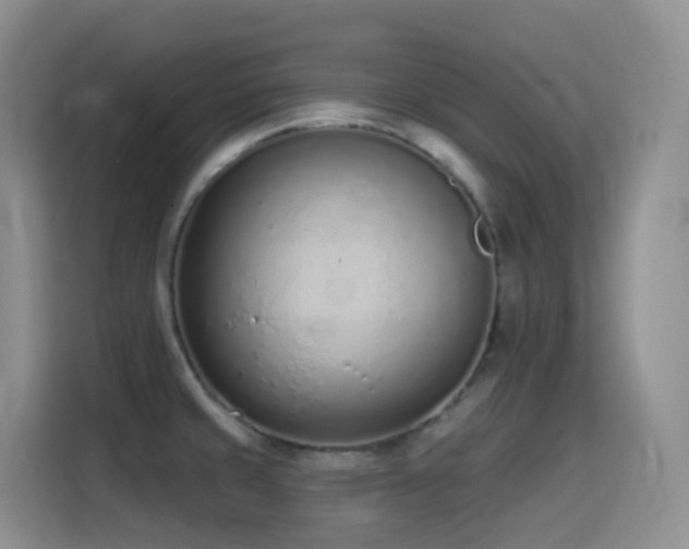 X0000116111429200911231136
