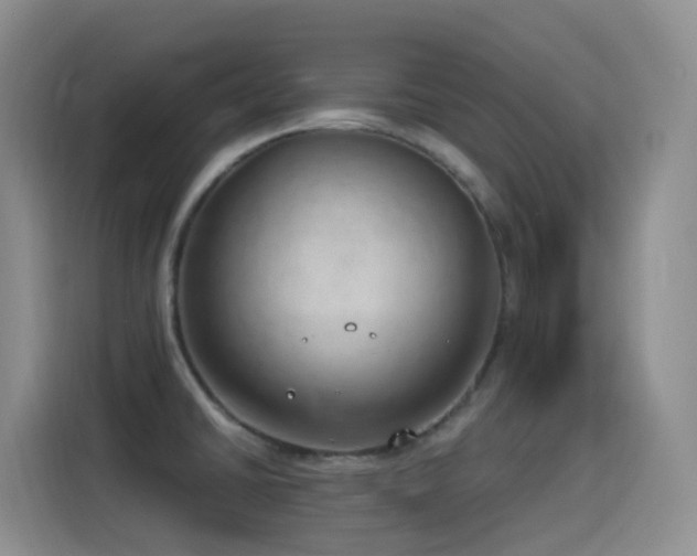 X0000116111430200911231136