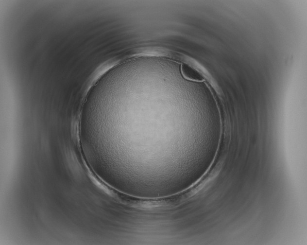 X0000116111433200911231136