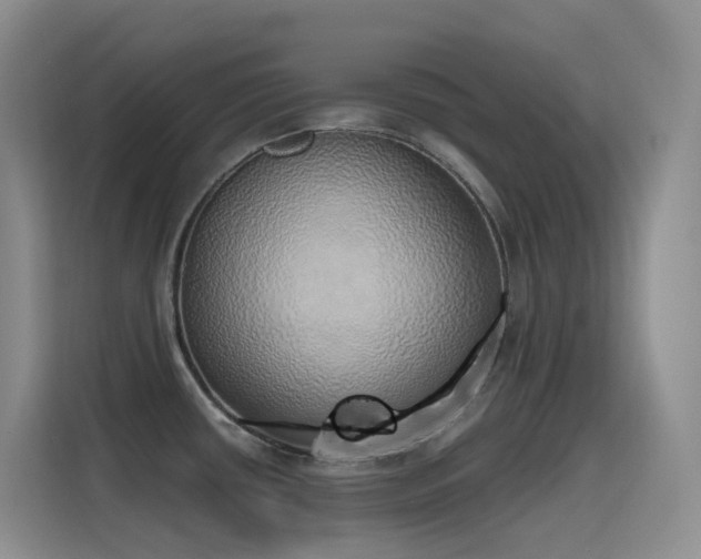 X0000116111434200911231136