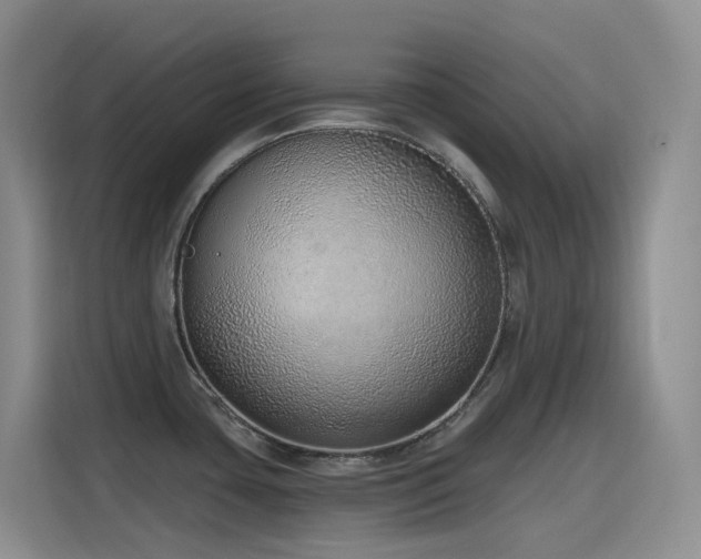X0000116111435200911231137