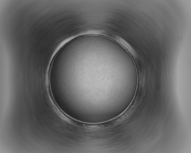 X0000116111436200911231137