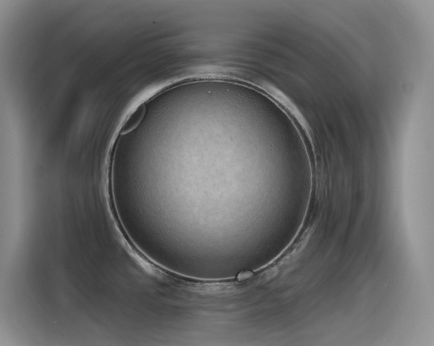 X0000116111437200911231137