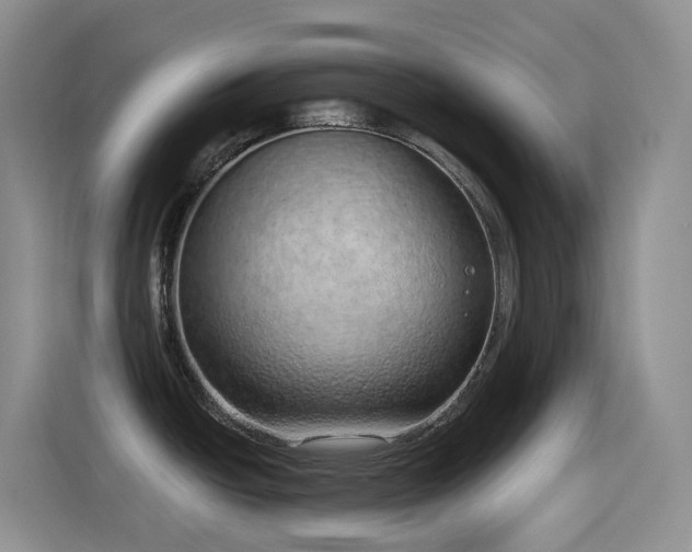 X0000116111438200911231137