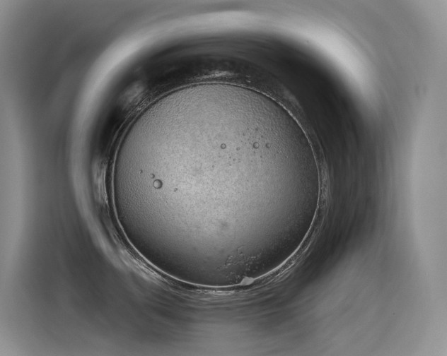 X0000116111439200911231137