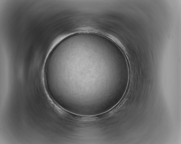 X0000116111440200911231137
