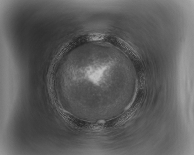 X0000116111441200911231136