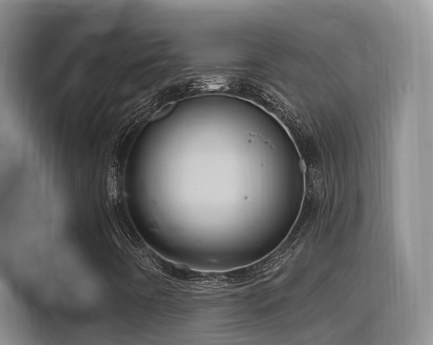 X0000116111442200911231136