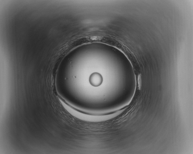 X0000116111443200911231136