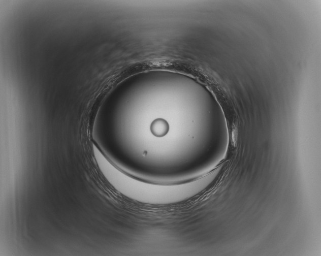 X0000116111444200911231136