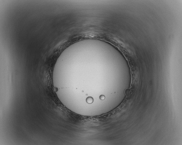 X0000116111446200911231136
