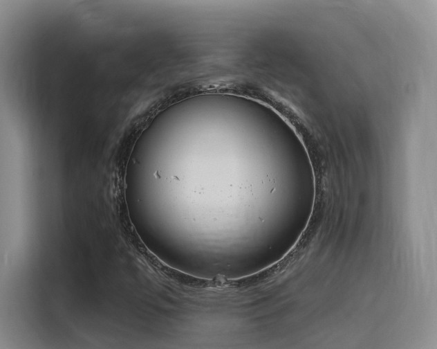 X0000116111447200911231136