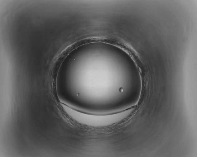 X0000116111448200911231136