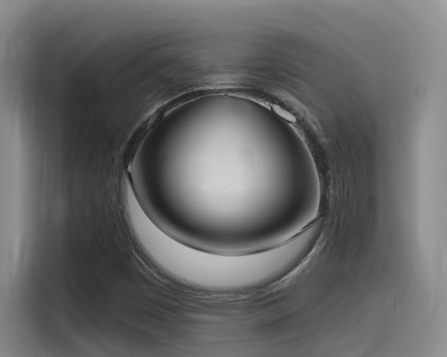 X0000116111449200911231136