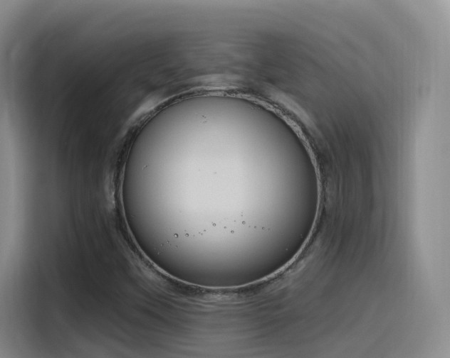 X0000116111451200911231136