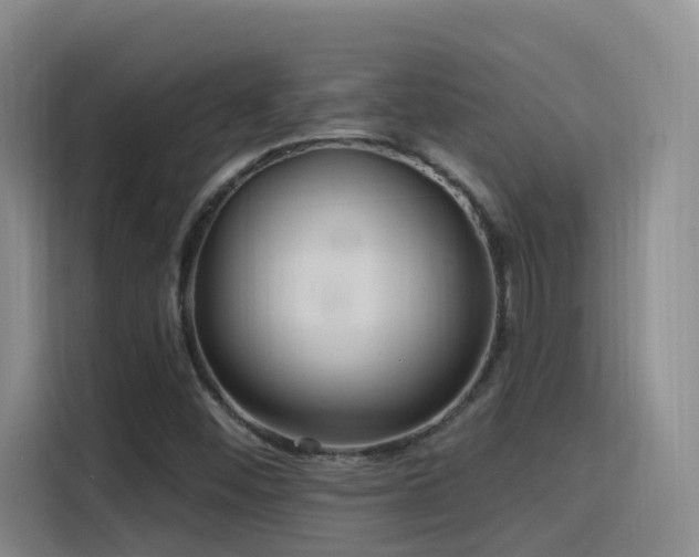 X0000116111452200911231136