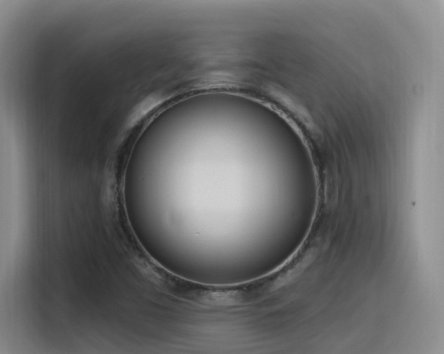 X0000116111453200911231136