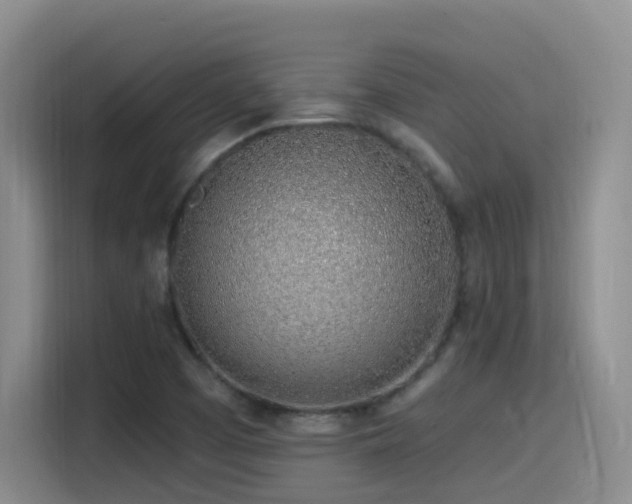 X0000116111457200911231136