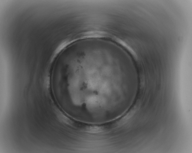 X0000116111459200911231136