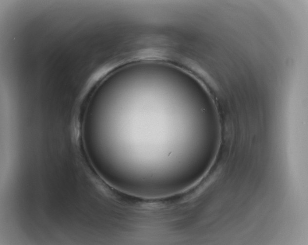 X0000116111461200911231136