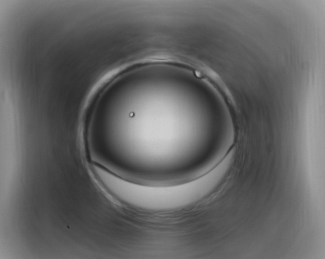 X0000116111464200911231136