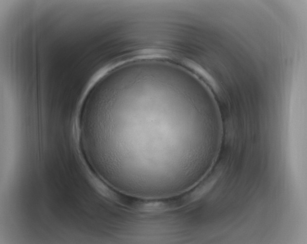 X0000116111467200911231136