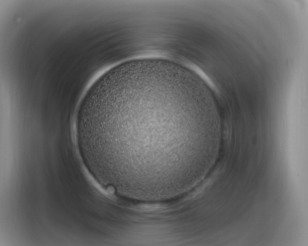 X0000116111468200911231136