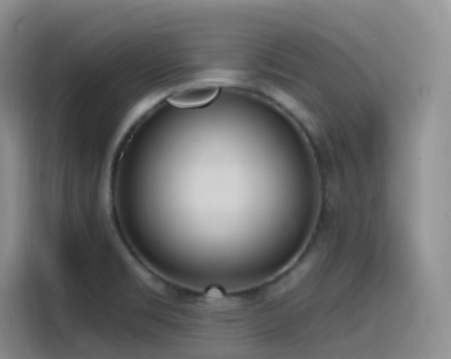 X0000116111469200911231136