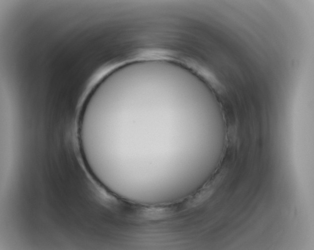 X0000116111470200911231136