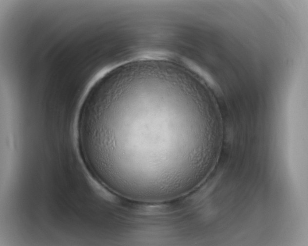 X0000116111471200911231136
