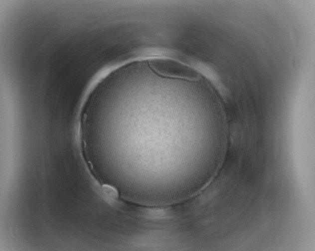 X0000116111472200911231136