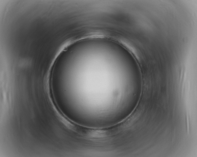X0000116111475200911231136
