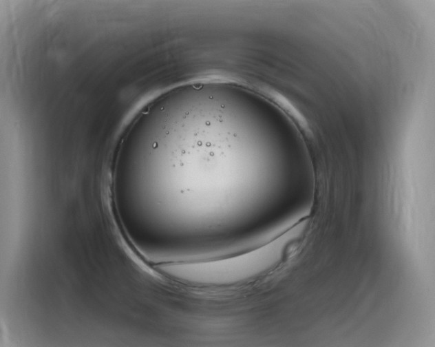X0000116111476200911231135