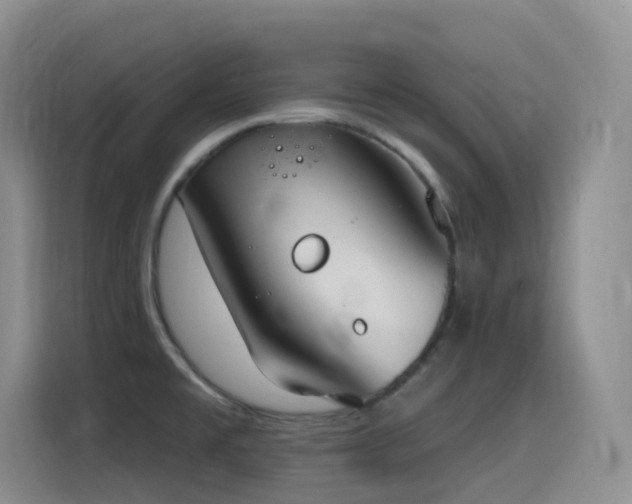 X0000116111477200911231135
