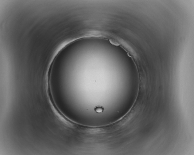 X0000116111479200911231135