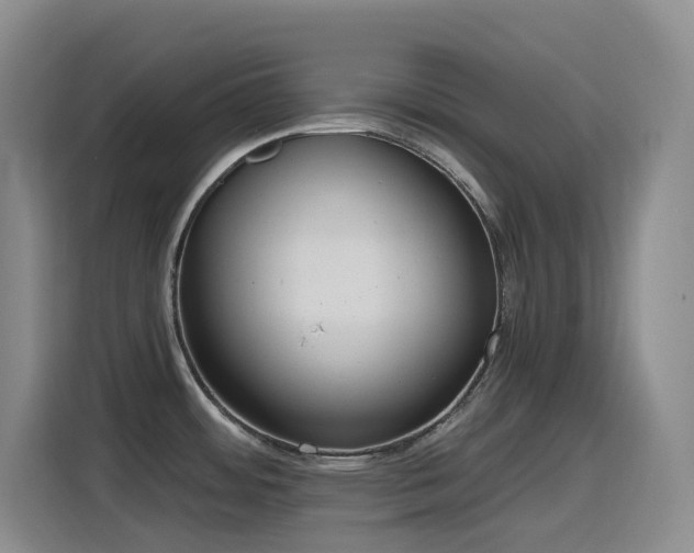 X0000116111484200911231135