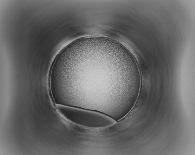 X0000116111485200911231135