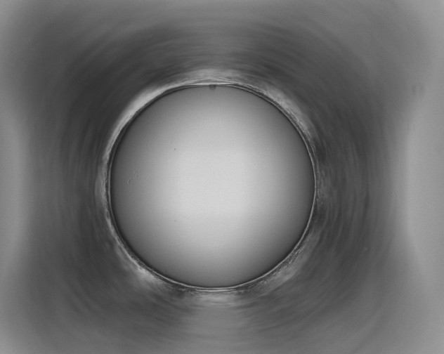 X0000116111486200911231135