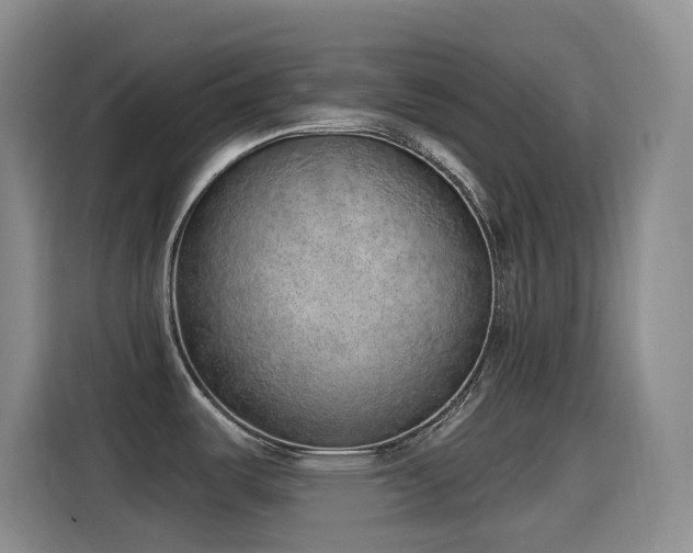 X0000116111487200911231135