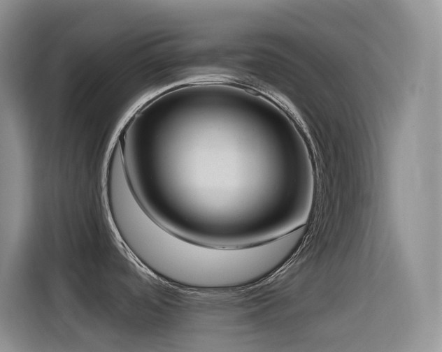 X0000116111488200911231135